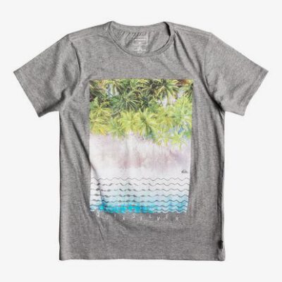 Camiseta QUIKSILVER manga corta niño surfera palmeras (kzeh) Ref. EQBZT03922 gris claro palmeras