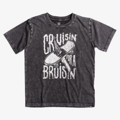 Camiseta DC SHOES manga corta niño cruiser bruiser ss boy Ref. EDBZT03207 gris desgastado dibujo frontal