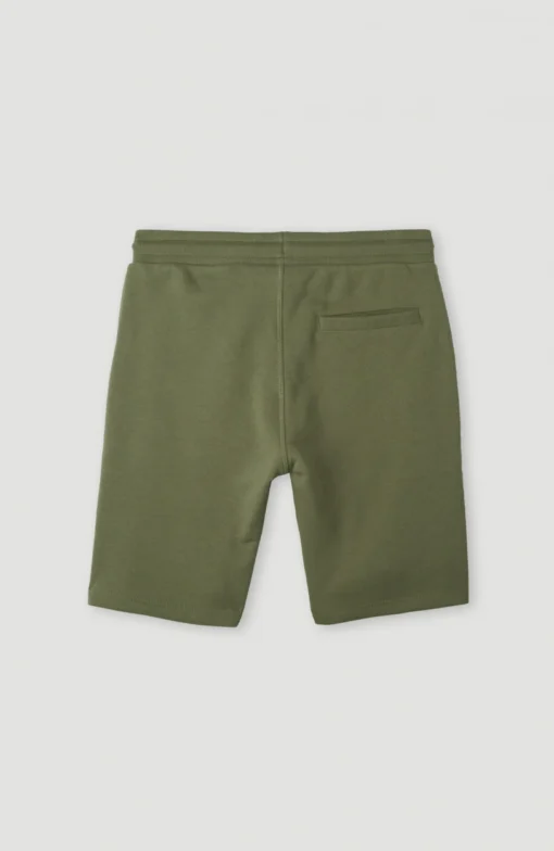 Pantalón corto O'NEILL chándal para niño ALL YEAR JOGGER SHORTS Green Ref. 4700006 verde caqui logo pierna