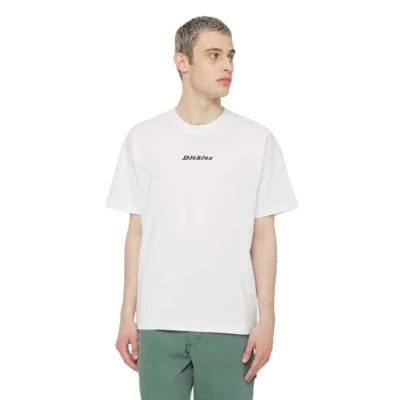 Camiseta DICKIES hombre Manga corta básica SS MAPLETON T-Shirt White Ref. DK0A4YRNWHX1 Blanca