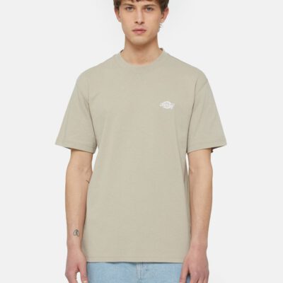 Camiseta DICKIES hombre Manga corta SUMERDALE REF.DK0A4YAIDSS01 beige