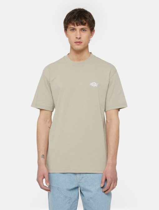 Camiseta DICKIES hombre Manga corta SUMERDALE REF.DK0A4YAIDSS01 beige