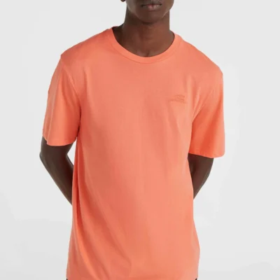 Camiseta O'NEILL manga corta para hombre Ref.2850225 casual small logo living coral