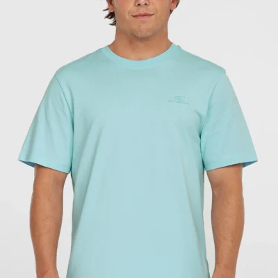 Camiseta O´NEILL manga corta SMALL LOGO T-SHIRT Ref-2850295 golden morning glory-azul cielo
